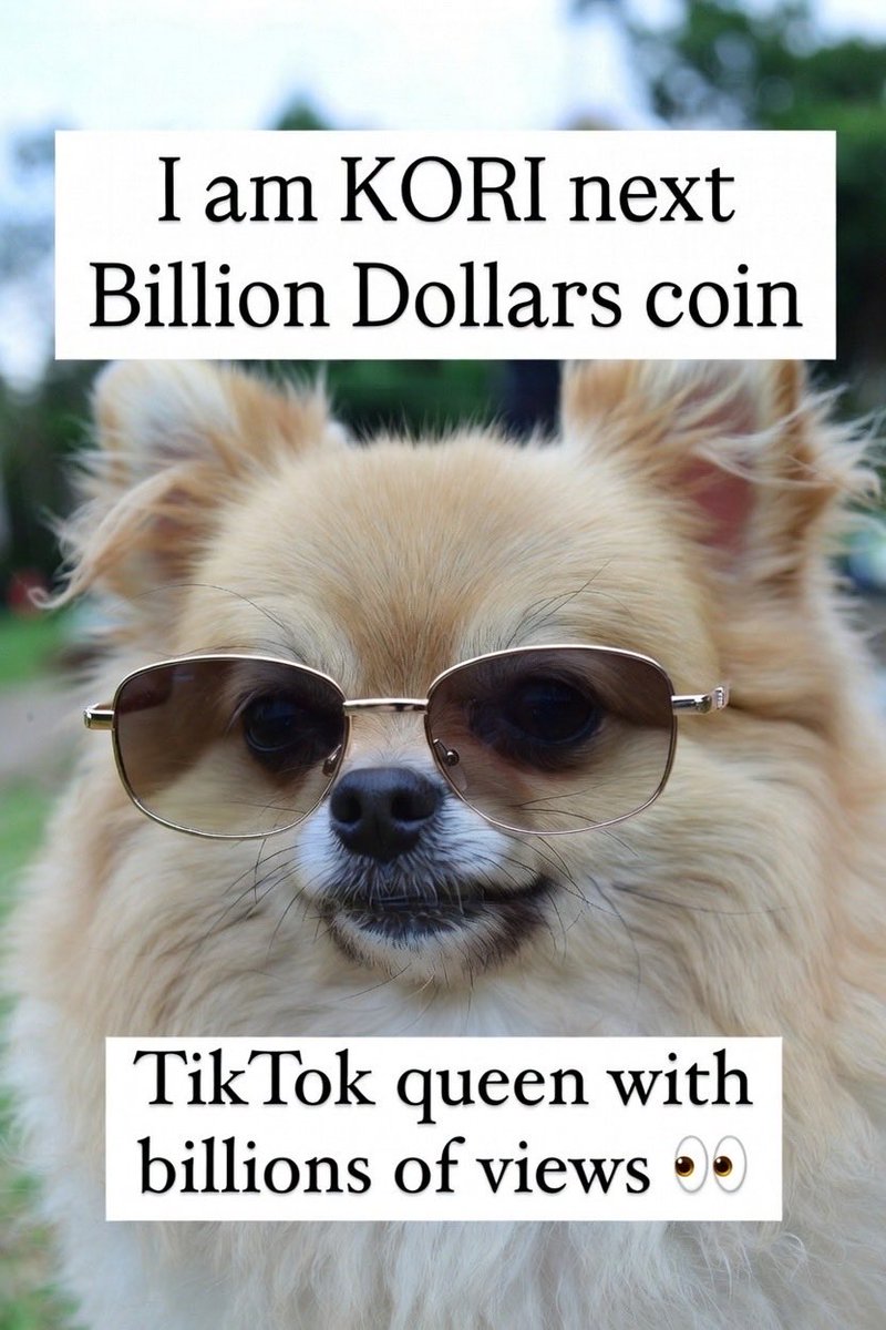 milanBDR89's tweet image. If you know you know 😉
@pomkori 🫶🏻