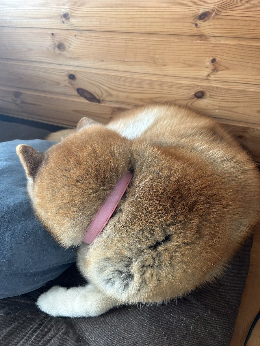 yokota4839 (@yokota4839) / Posts / X