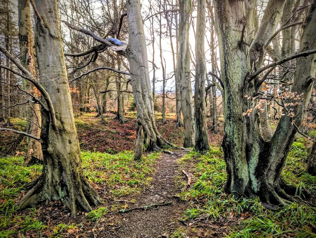 BeardedUniverse's tweet image. Goodnight you beautiful beings 😁