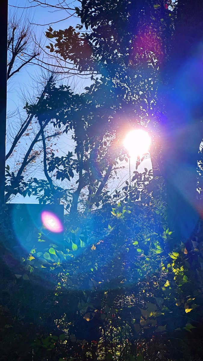 ハジ→ (@HAZZIE3) / Posts / X