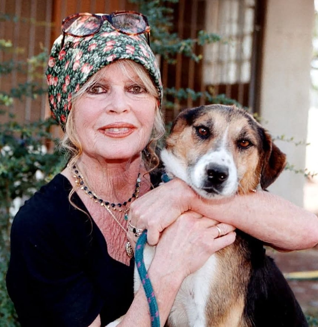 Una noticia triste, se confirma que ha fallecidola actriz Brigitte Bardot (1934–2025)
Abandonó el cine  y la fama para luchar por los animales.
Fundó la Fundación Brigitte Bardot.
Rescató a decenas de miles.
Luchó contra las pieles, las granjas de cachorros y la crueldad.
Ayudó a