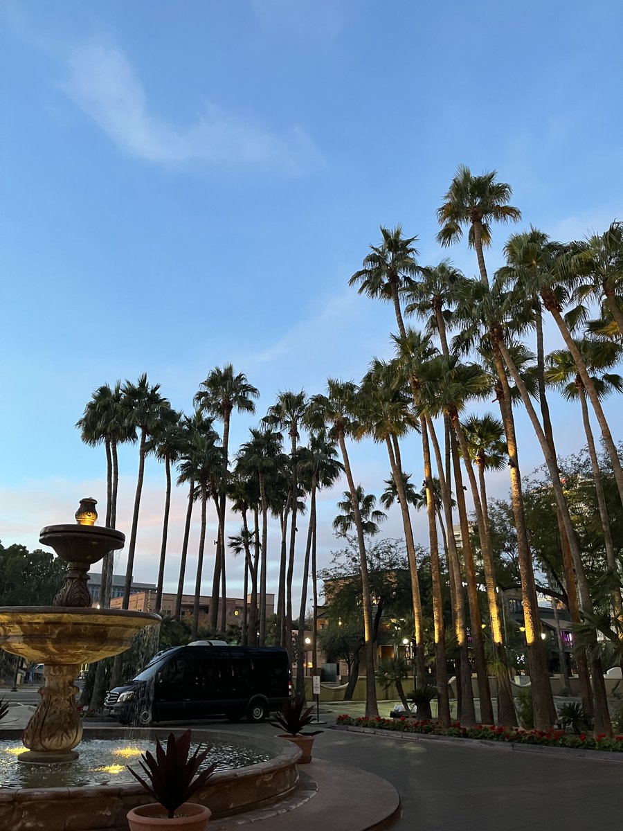 Cactus Jam tweet media