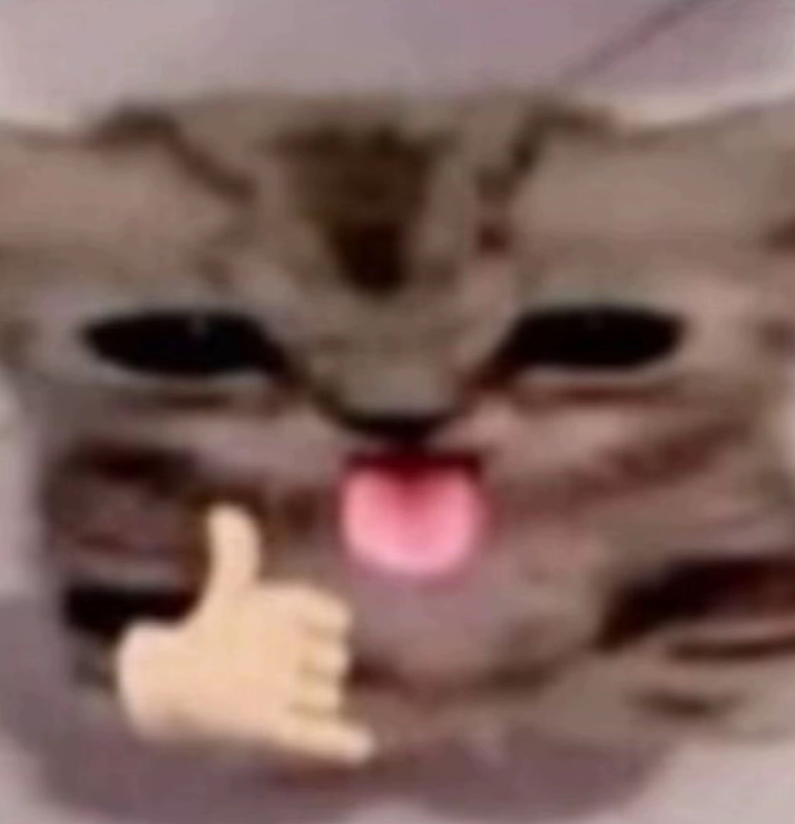 QSMP Shop tweet media