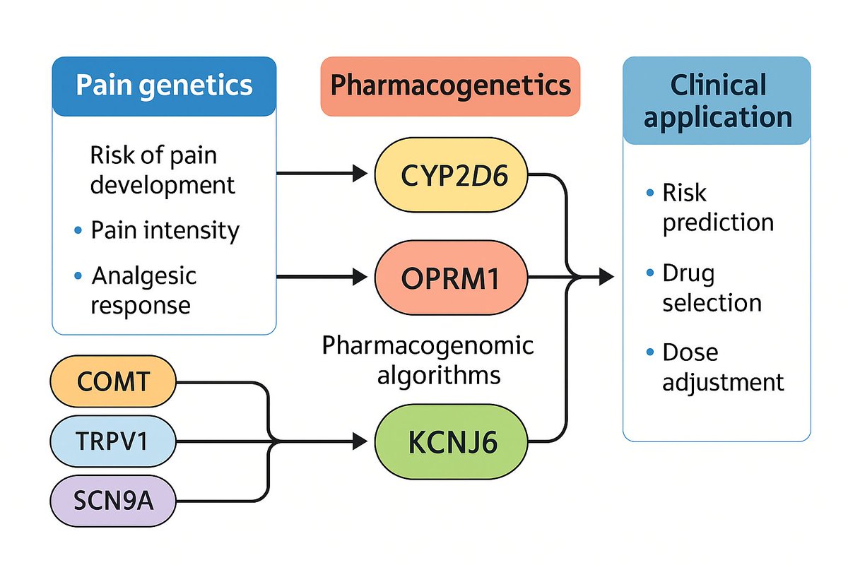 Painresearch73's tweet photo. Genetics of #pain and analgesics – current insights and future directions

https://t.co/EiMgkxUN12 https://t.co/5AOT4zTGVI