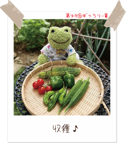 かえるのピクルス/pickles the frog (@picklesthefrog6) / Posts / X