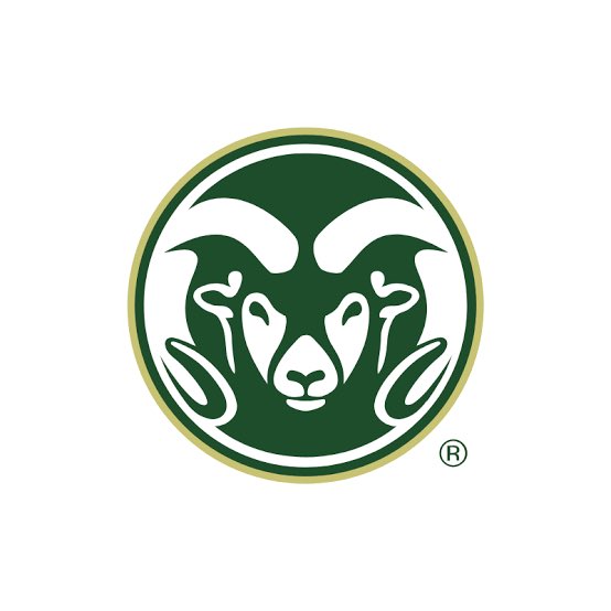 Eli Rich 3⭐️ tweet media