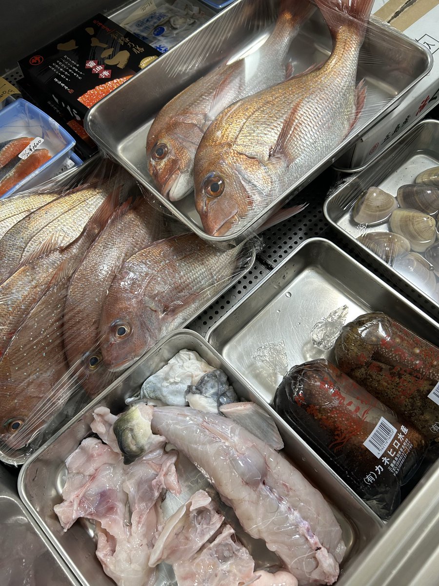 魚虎 うおとら (@uotora2024) / Posts / X