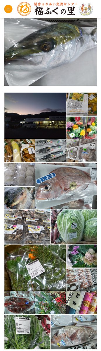 12月29日（月）採れたて！
今日から3日間はお正月用ブリ・カンパチ・真鯛の販売を行います🙌🌅 1本売りは屋外ですので防寒対策をしてご来店くださいませ☺️🧣🧤屋外販売は13時まで、直売所は17時まで営業しております🤗 年末も皆様のご来店を心よりお待ちしております🙇➡️fukufuku-sato.com/12%e6%9c%8829%…