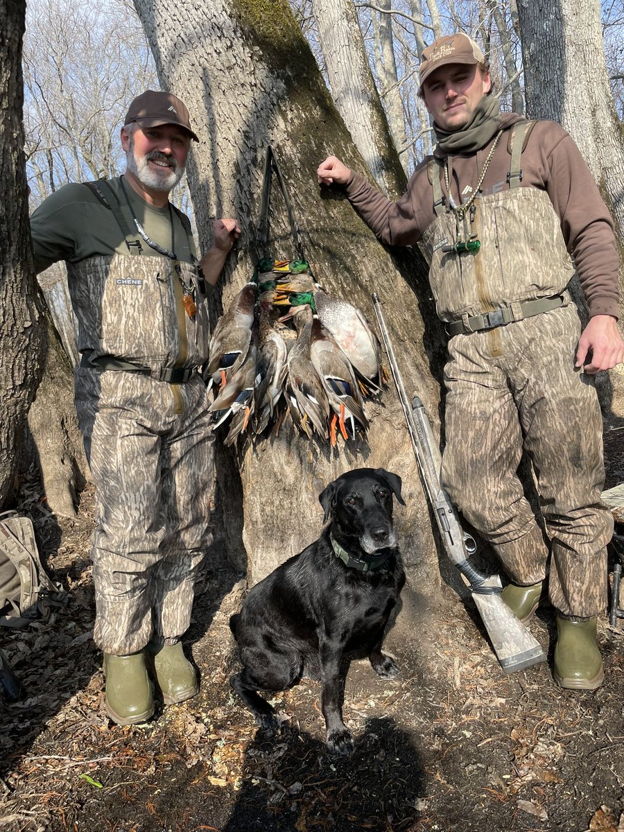 John White tweet media