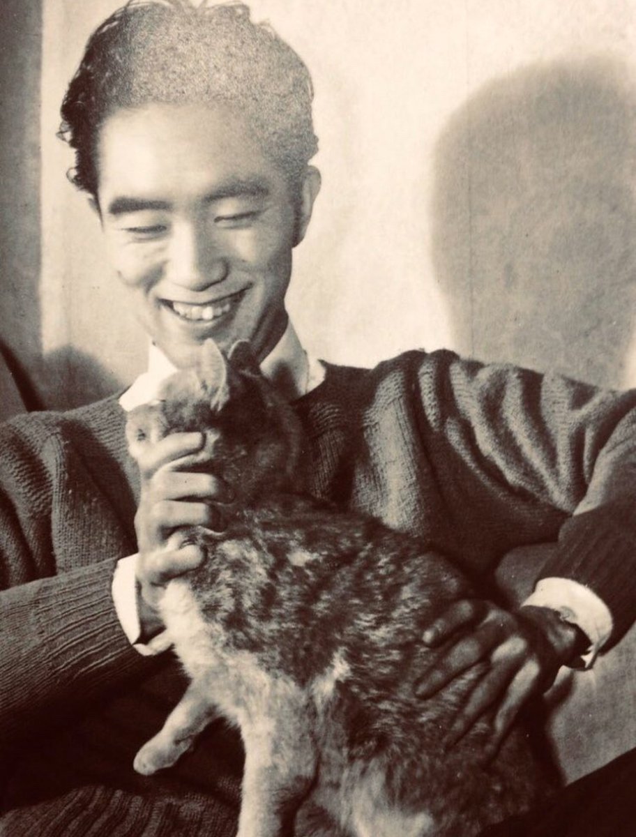 synekura_audio's tweet photo. Yukio Mishima loved cats deeply and kept many of them at home https://t.co/bBmuOrVVH8