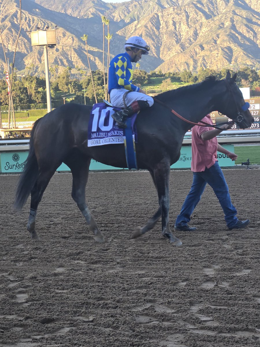 DailyRacingForm's tweet image. 💰 Goal Oriented wins the G1 Malibu @santaanitapark !