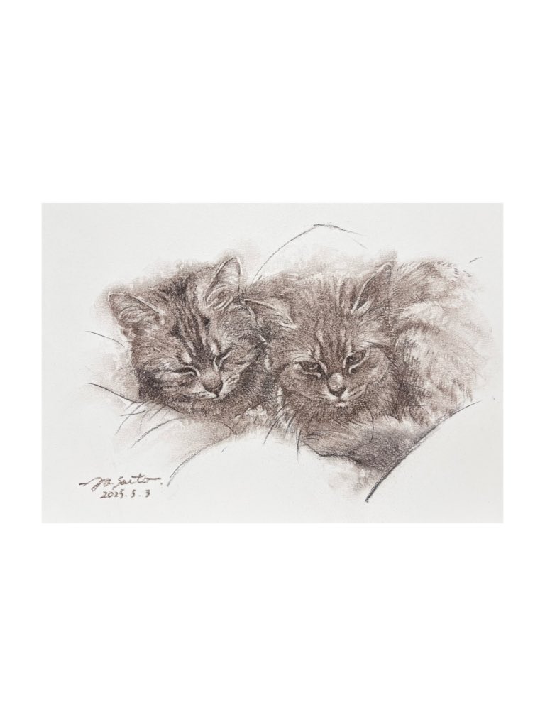 シャトー水彩画 横91センチ縦65センチ シャトー水彩画 横91センチ縦65