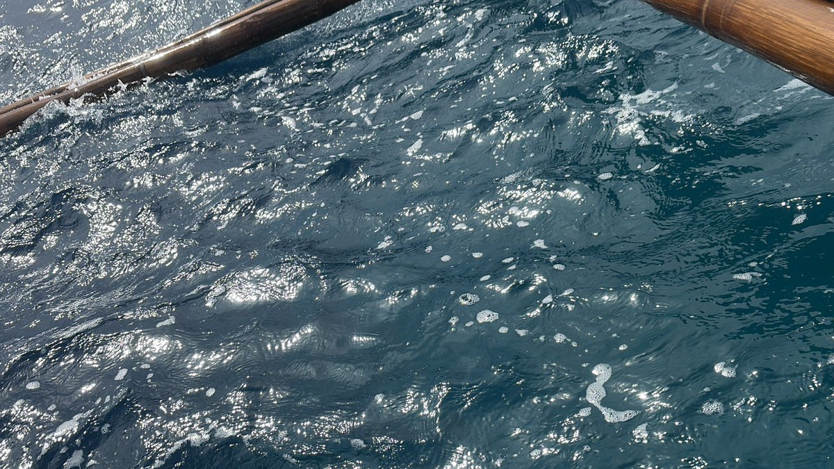 おはみお🐰
朝のᒪOᘜIᑎの時間だお( 　'-' )ノ)`-' )ぺし

旅行満喫中✈️𓂃𓈒𓏸︎︎︎︎
昨日はジンベエザメと泳いだりウミガメと泳いだりずっと海におった🦈⁎*
今日はショピング𝒅𝒂𝒚🛍🛒³₃

きょうもなんとか💪🏻❤️‍🔥
#おはミオ #おはツイ