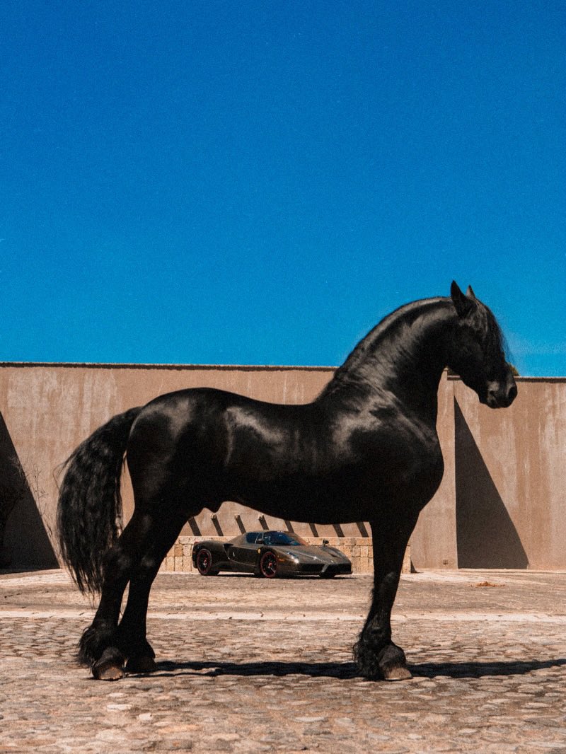 Complex's tweet image. Photographer captures a horse &amp;amp; Ferrari in Mexico 🏎️

[via/ riocam]
