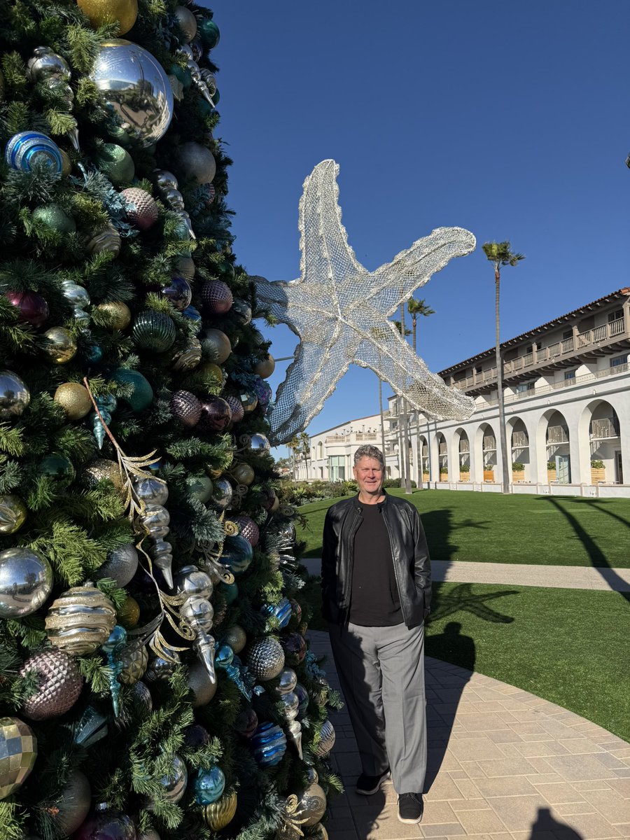 On the 4th day of Christmas, I found a starfish in a pear tree.