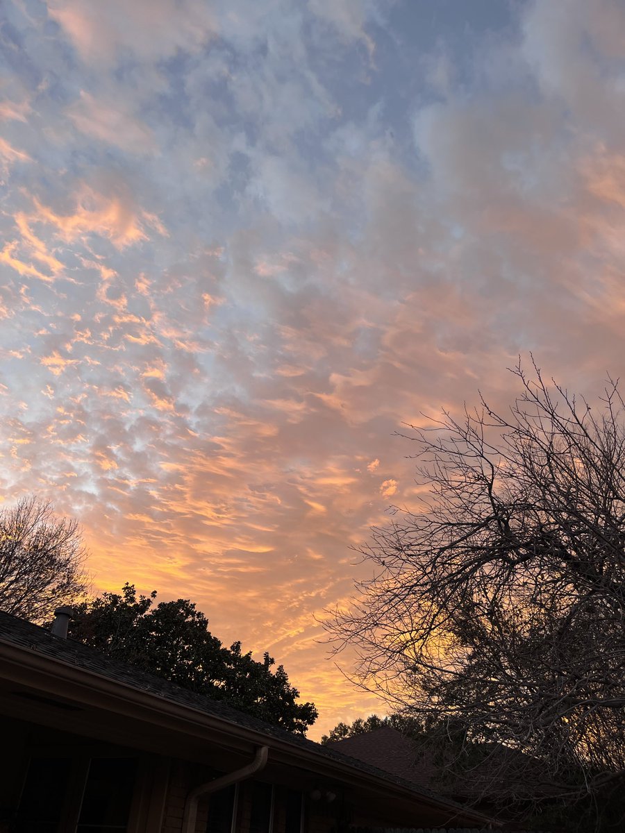 Dallas Gal🇺🇸🇸🇪🇵🇷🤘🏻🖖🌱🐶🐈🐾 tweet media