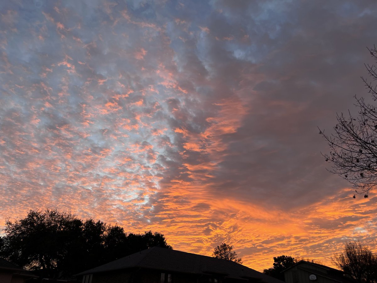 Dallas Gal🇺🇸🇸🇪🇵🇷🤘🏻🖖🌱🐶🐈🐾 tweet media