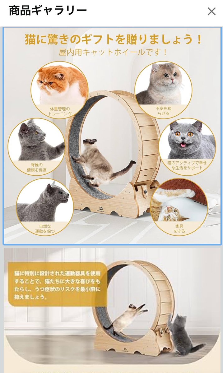 しんじさん (@Shinjisan_XD) / Posts / X