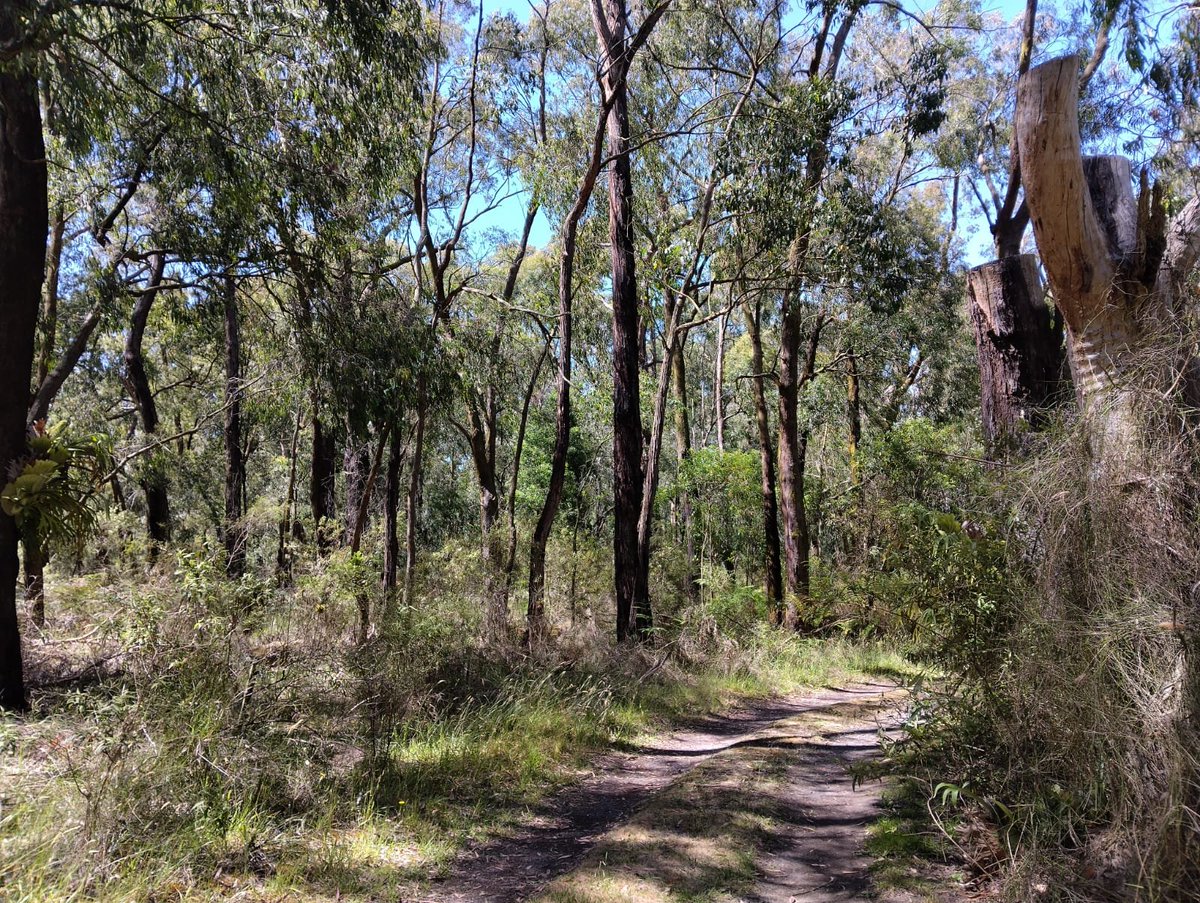 我這陣 tòa AU南(OZ/Australia) chia((Kah 兩年前來OZ kā chahchō ê 好心阿公á 閣 tòa 做伙，雖然伊 ê 囝á kah 我差不多仝沿 tio̍h，阿公 ê 故事koh 講..

I'm now living in the bush of Au南(OZ/Australia) + I went to the Melbourne University and met 3 PHD students... taioanlang.blogspot.com/2025/12/im-now…