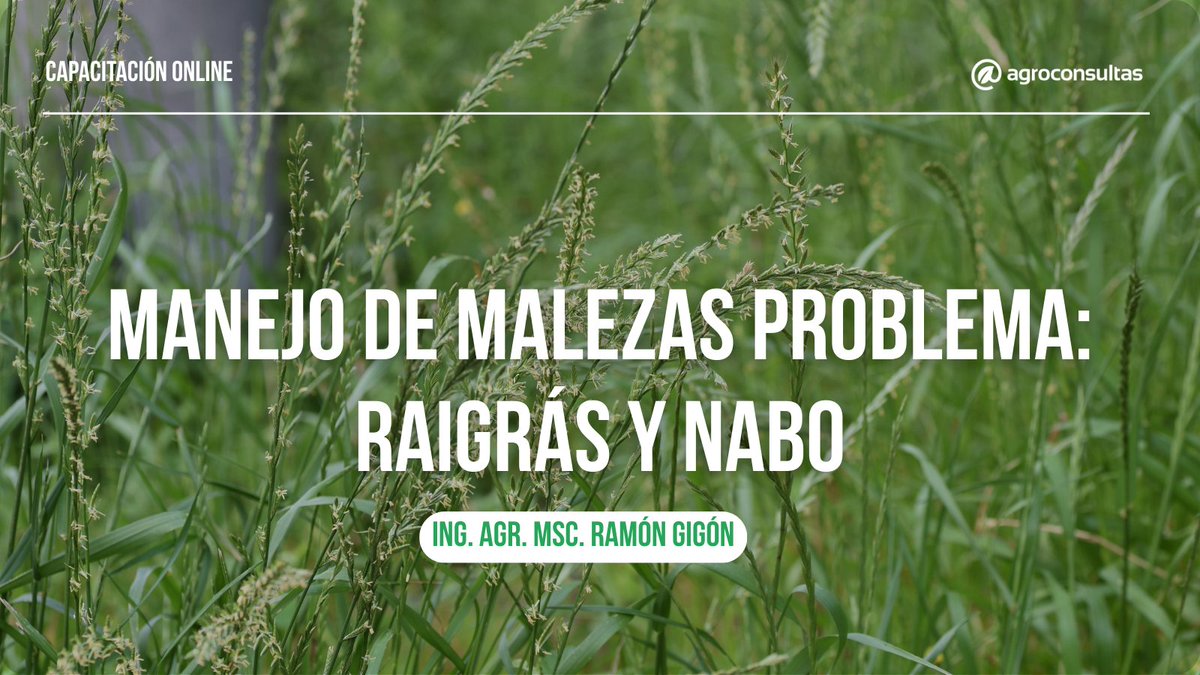 Información práctica y actualizada para tomar mejores decisiones 🌾🚀

🙋‍♂️ Ing. Agr. MSc. Ramón Gigón
🌱 Dirigida a quienes buscan enfrentar de forma efectiva uno de los desafíos más importantes en la agricultura actual: el manejo de malezas resistentes

👉🏻 agroconsultas.online/OKtMMO