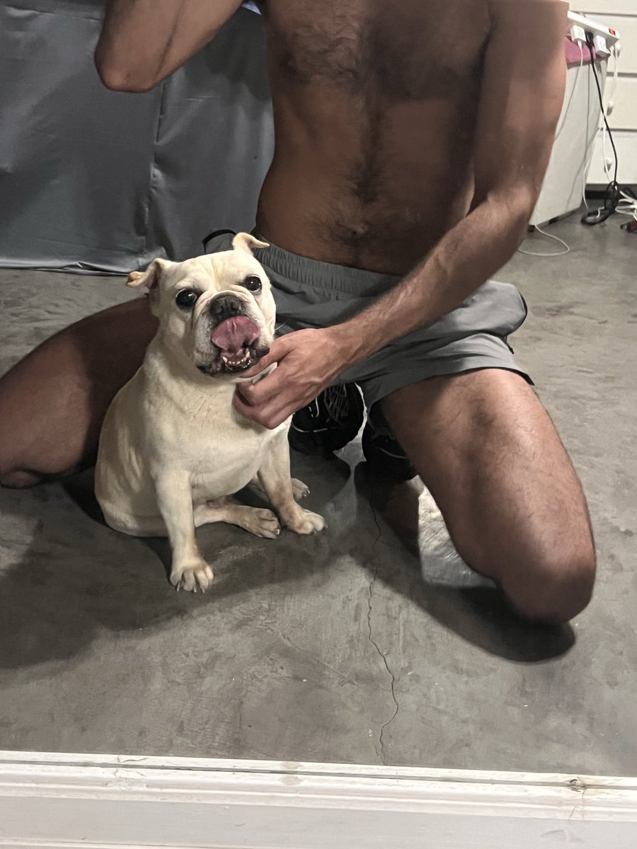 protiveboy's tweet image. Puppy