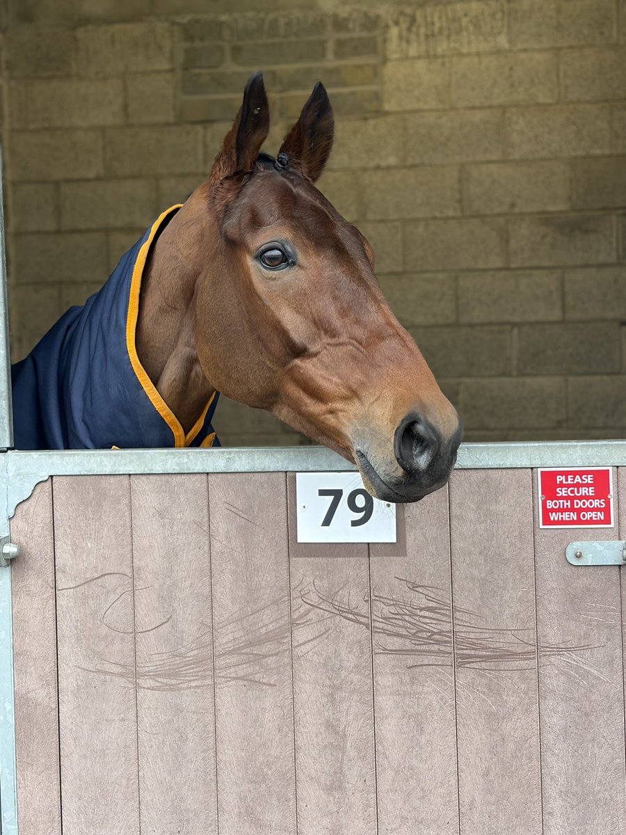 emmacbutch's tweet photo. What a day 😊😊 What a horse 🐎 Affordale Fury you absolute legend winning the Savills chase at Leopardstown Racecourse 😍 #TeamTuVa 💪💪 @tuvastables https://t.co/wWDN7qegGU