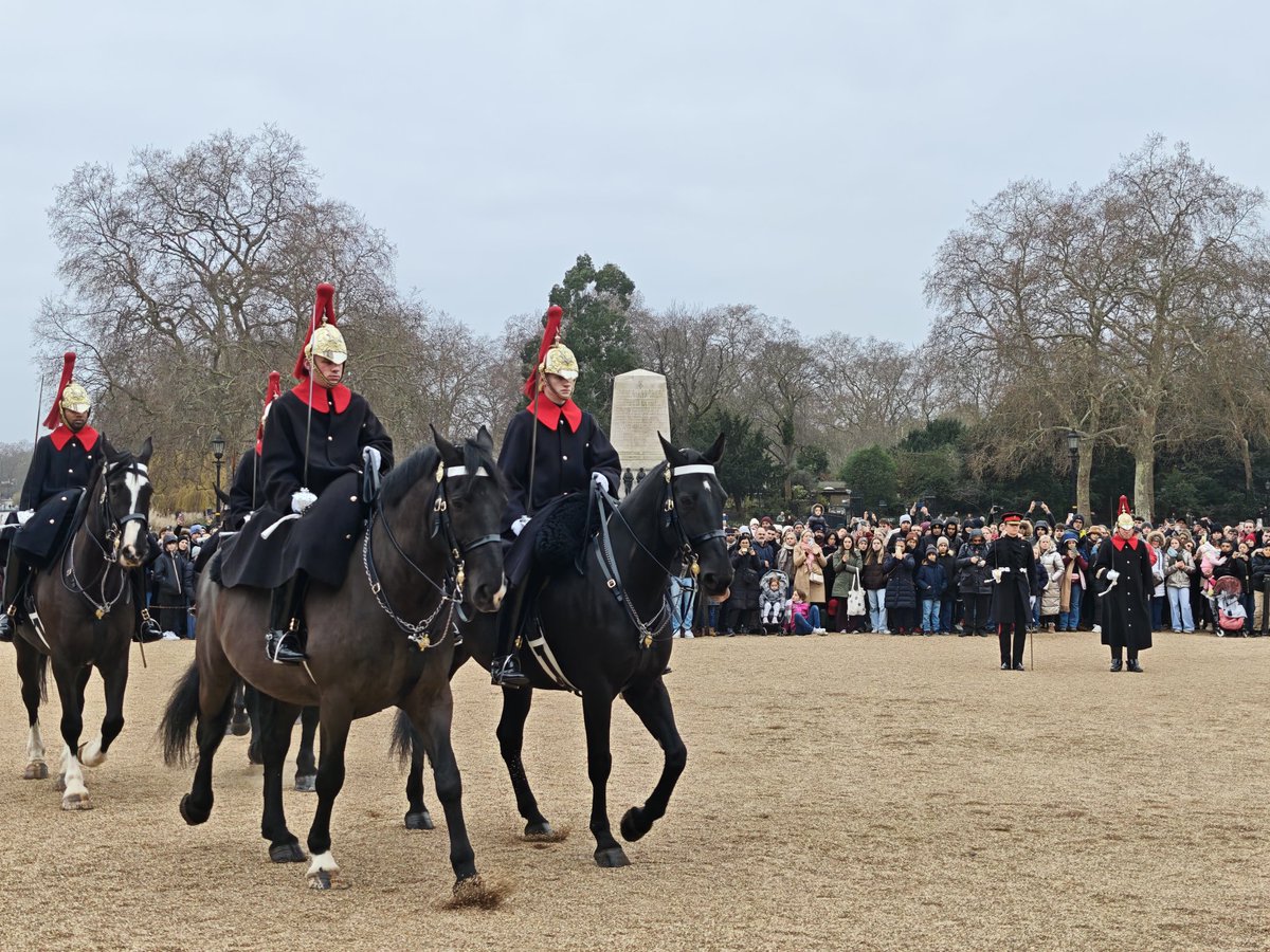 rydimer's tweet image. 