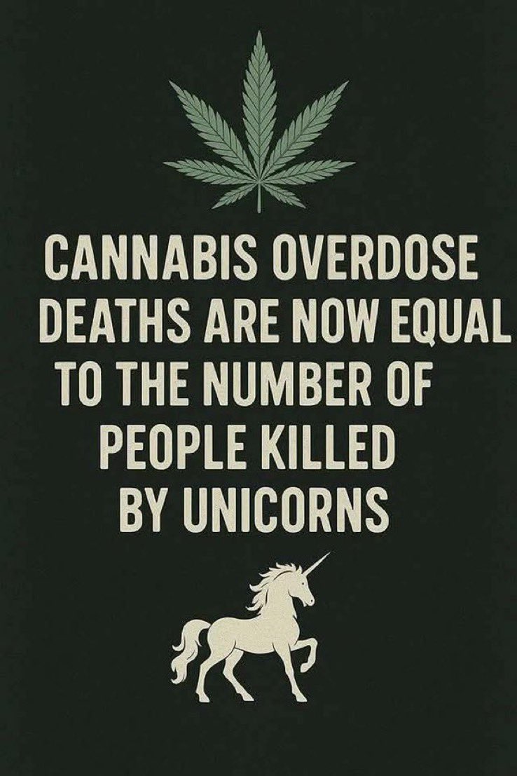 brandilwells's tweet image. 