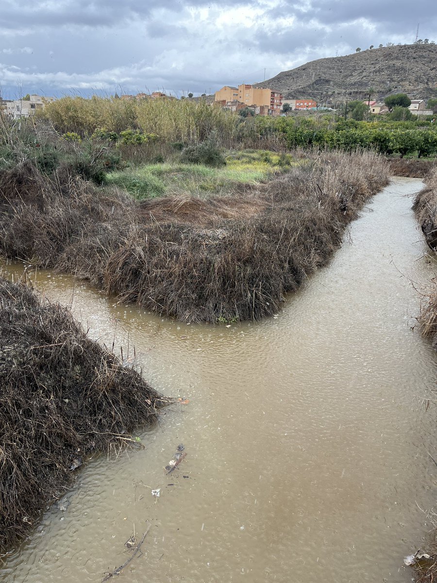 En un lugar de la Huerta tweet media