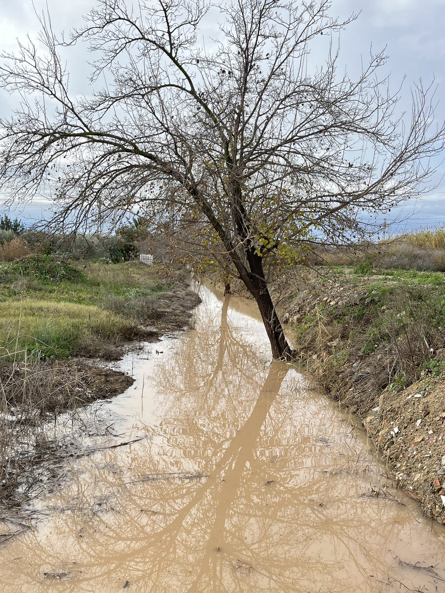 En un lugar de la Huerta tweet media