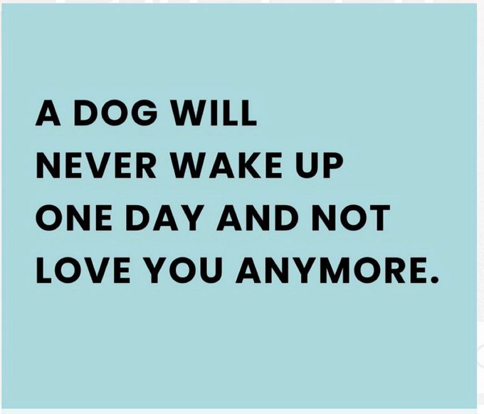 BlessethWeb314's tweet image. 