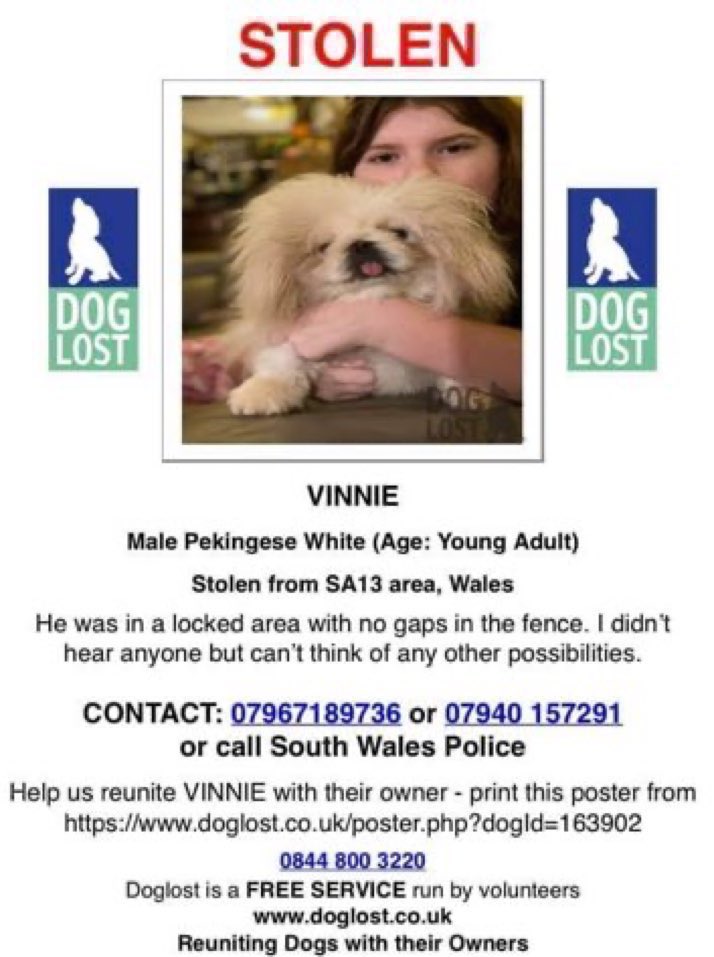 LisaClareRead2's tweet photo. Please RT
Vinnie has been missing over 4 years now ๐๐ข
He went missing / was stolen from his garden in #Margam Port Talbot #Wales #SA13 on 21st January 2021.
Please call numbers below with any information โฌ๏ธ
#stolendoghour #Pekingese #dogs https://t.co/41GPCWUfyA