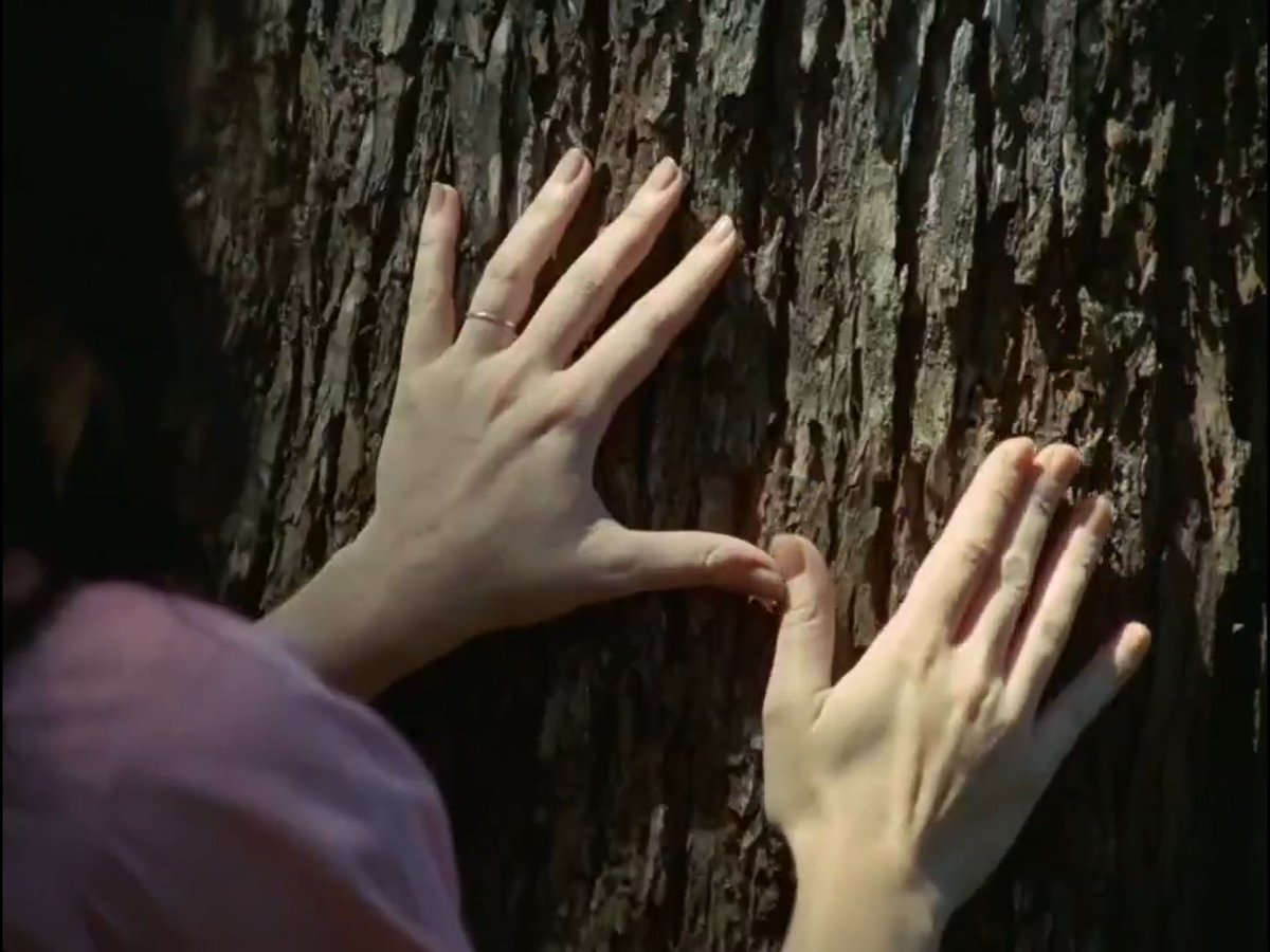 Sarah Makes People Watch Things! tweet media