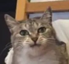 AcidManGames - VISCERAFEST OUT NOW!!! tweet media