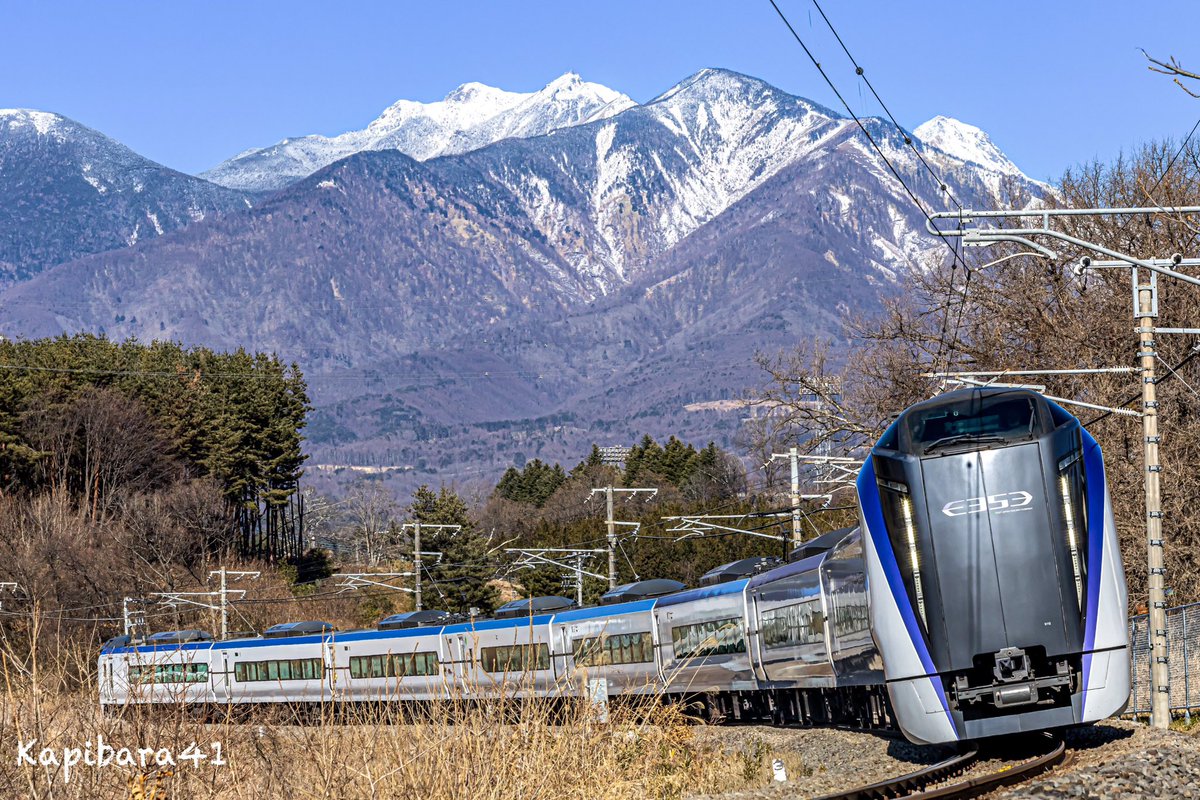 kapibara41 tweet media