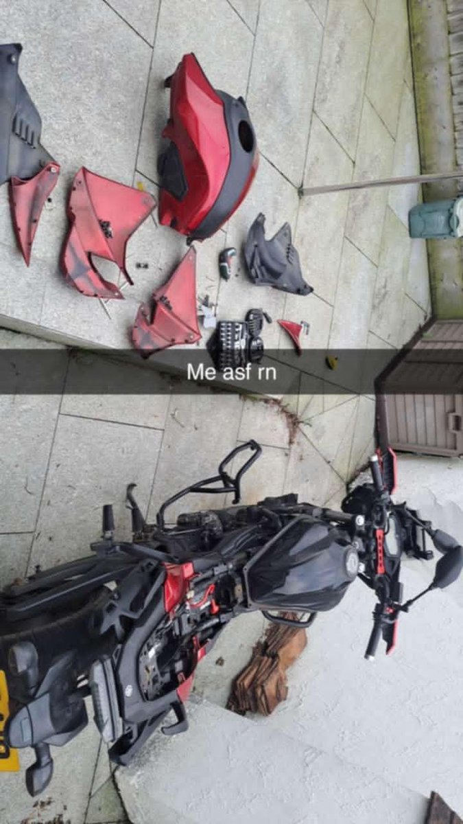 Britsune | 🦊☄️🎸 | EN Vtuber tweet media