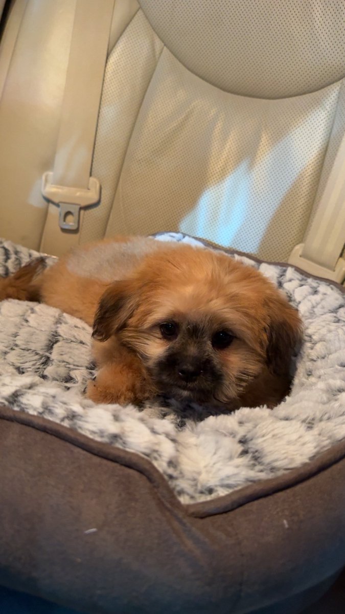 ralmidfa's tweet image. 