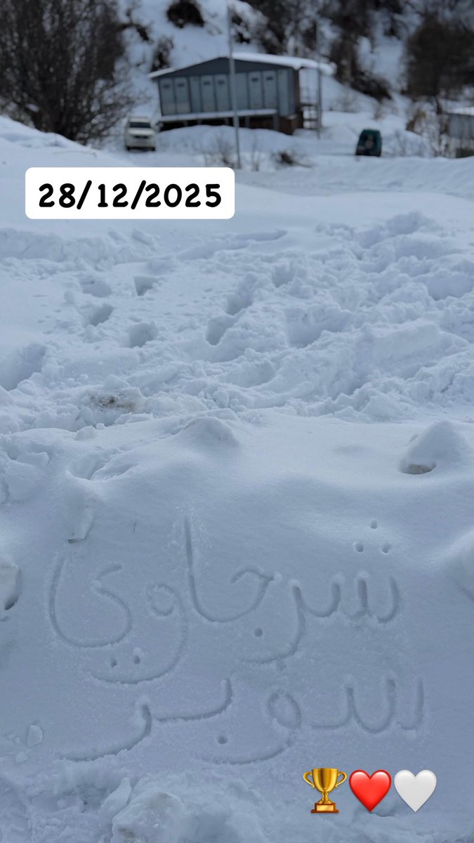 ralmidfa's tweet image. 