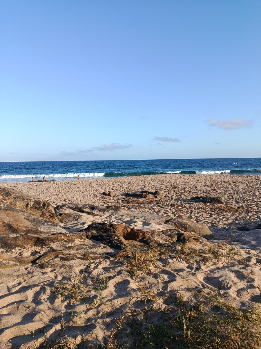 pegssa's tweet image. Isso daqui vai render até de noite kk