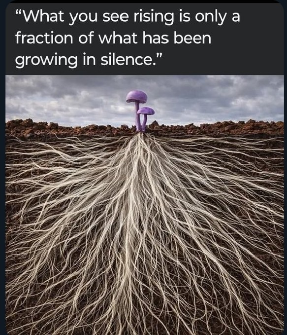 CookieKL's tweet image. #Growing in #silence 
Not everything is visible 
🫂✌️☺️🥰🤘🩷🕊️🪷💎