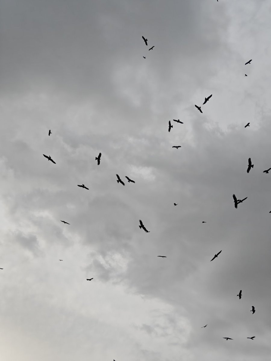 Almost the end of an amazing year