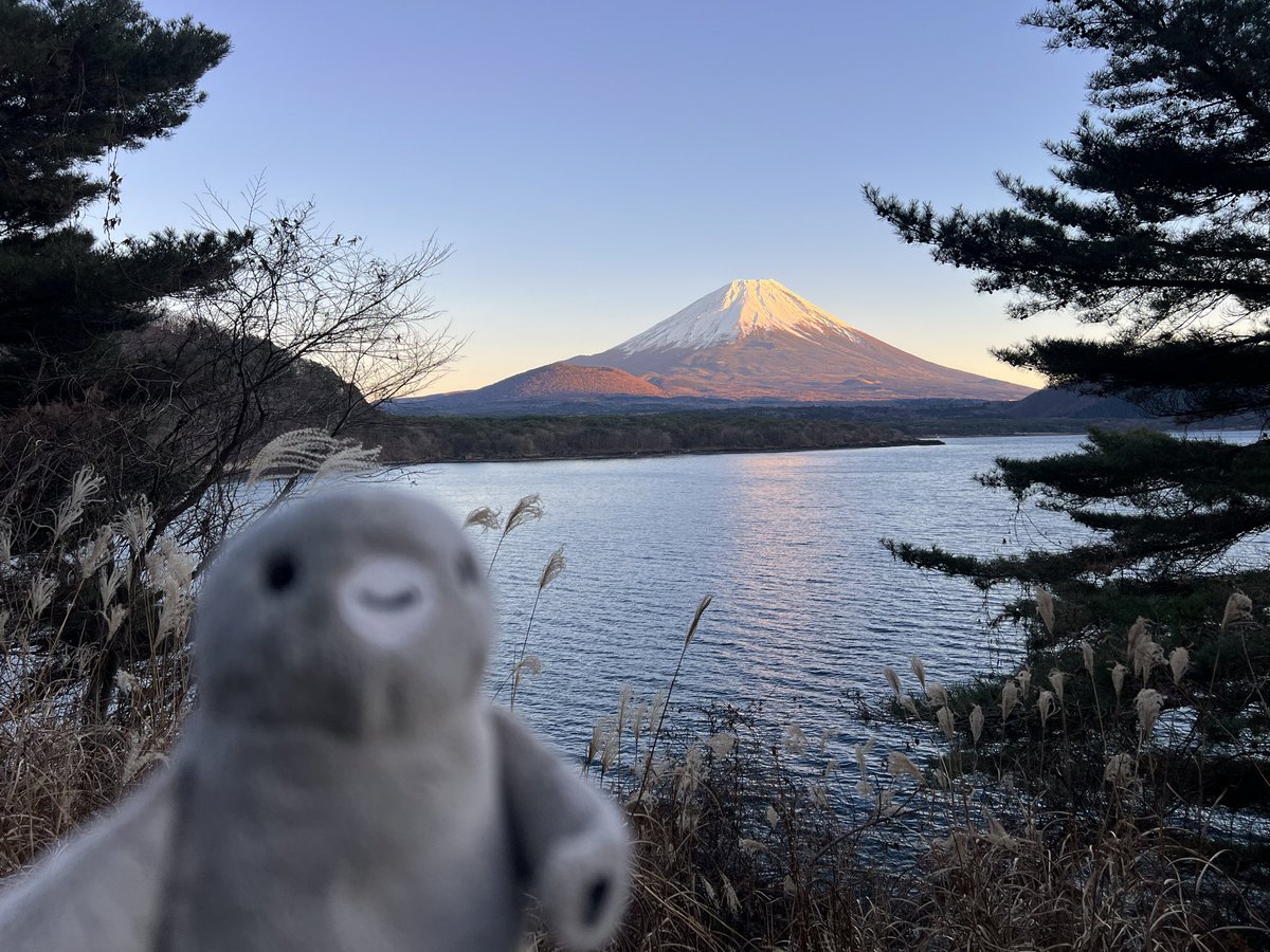 おはようございます🗻