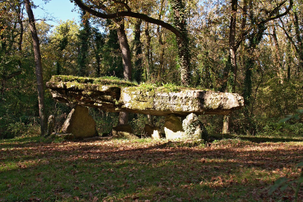 Dolmen dit "La Pierre Pèse" #Limalonges.
An elongated table: 7, 30 m long, 3 metres wide, 1 metre thick to the south-west, north-west and south-east, and only 55 centimetres thick to the north-east.
Via <a href="/SKL/">SKL .D Sgn °–\– .D Sgn @SKL |🇫🇷 |🇪🇺 |🇺🇸</a>. Deux-Sèvres, #Poitou, Northern New Aquitaine. #StandingStoneSunday