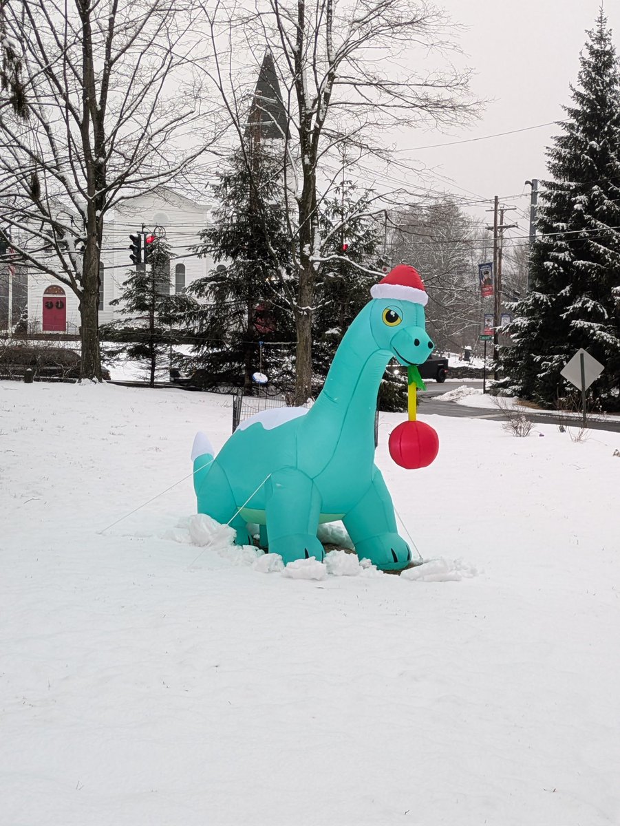 Got mine out in the snow - looks great and is well made