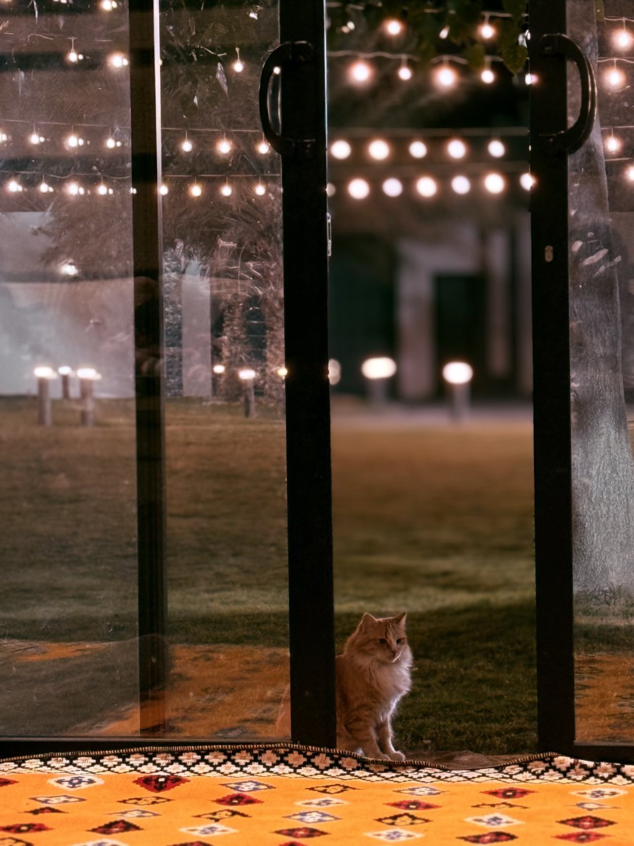 Favorite time of the year 🥱