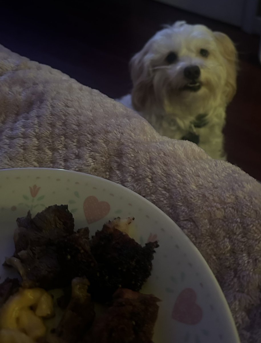 Roarburt (@roarbutt) on Twitter photo 