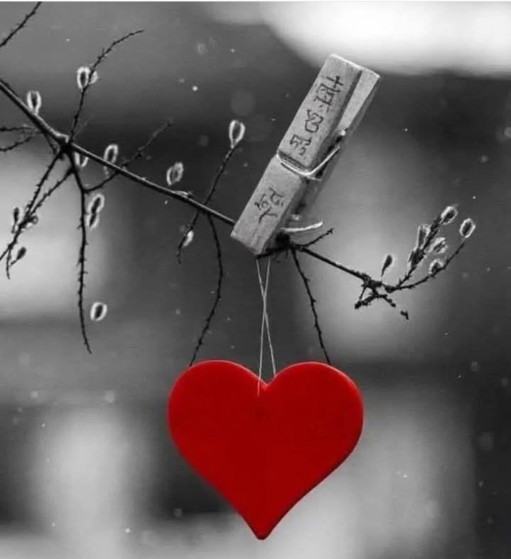 "Αγαπητέ Δεκέμβρη μη ξεχνάς...
Μας χρωστάς έναν όμορφο επίλογο" 🤗

Καληνύχτα μας ❄️