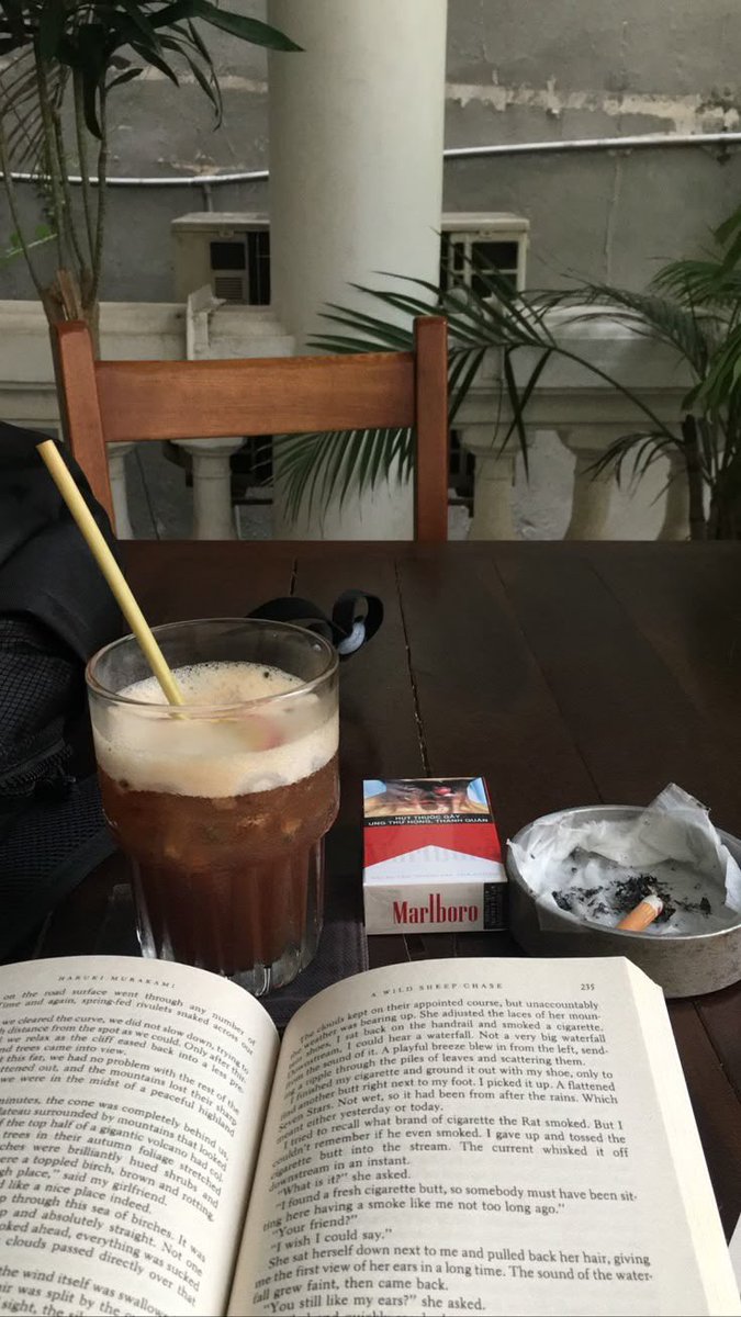 llpipi's tweet image. 