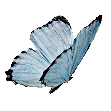 WhispcrStorm's tweet photo. ⠀⠀⠀⠀⠀⠀⠀⠀ ⠀⠀⠀⠀⠀⠀⠀
⠀⠀⠀ "𝑵𝒐 𝒕𝒓𝒂𝒕𝒆𝒔 𝒅𝒆 𝒅𝒐𝒎𝒊𝒏𝒂𝒓𝒎𝒆 𝒑𝒐𝒓𝒒𝒖𝒆 𝒔𝒐𝒚 𝒎𝒂́𝒔 𝒅𝒖𝒓𝒐 𝒒𝒖𝒆 𝒆𝒍 𝒂𝒄𝒆𝒓𝒐, 𝒂𝒏𝒕𝒆𝒔 𝒓𝒐𝒕𝒐 𝒒𝒖𝒆 𝒅𝒐𝒃𝒍𝒂𝒓𝒎𝒆"
⠀⠀⠀⠀⠀⠀⠀ ⠀⠀⠀⠀⠀⠀⠀ https://t.co/HbvnSnKt0g