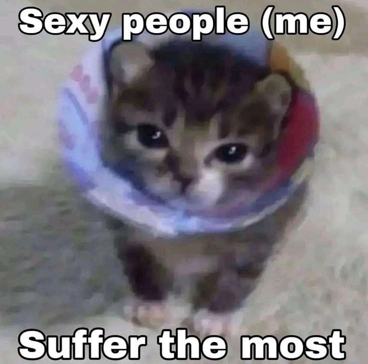 PunchingCat's tweet photo. https://t.co/EneIgICokl